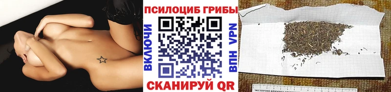 ОМГ ОМГ онион  Шарья  Галлюциногенные грибы GOLDEN TEACHER  цены наркотик 